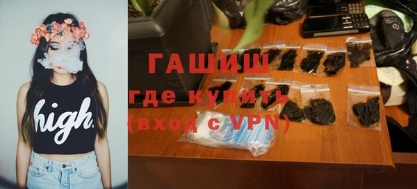 сатива Беломорск