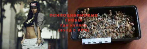 сатива Беломорск
