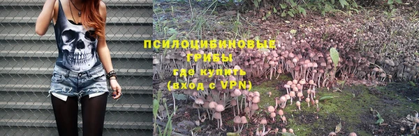 дмт Балабаново