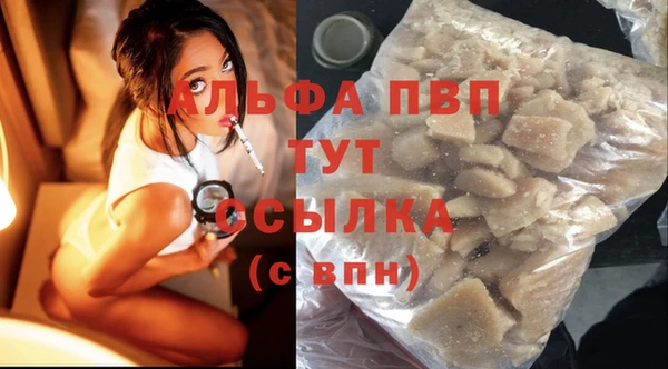 сатива Беломорск