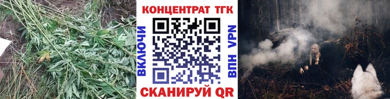 ТГК концентрат  mega   Городовиковск 